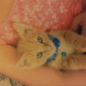 Meet your Posher, Perla